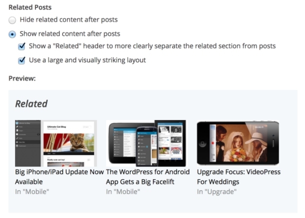 phí thiết kế website