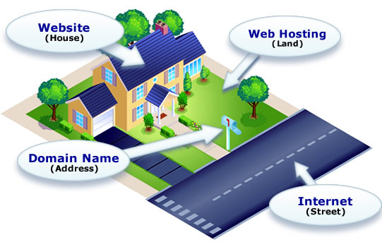 giá thiết kế website